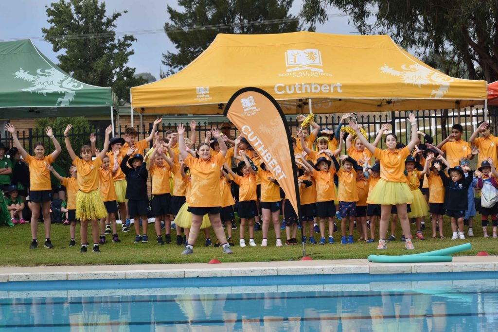 vPrimary School Students swimming in the Junior School Swimming Carnival at Scots All Saints College.