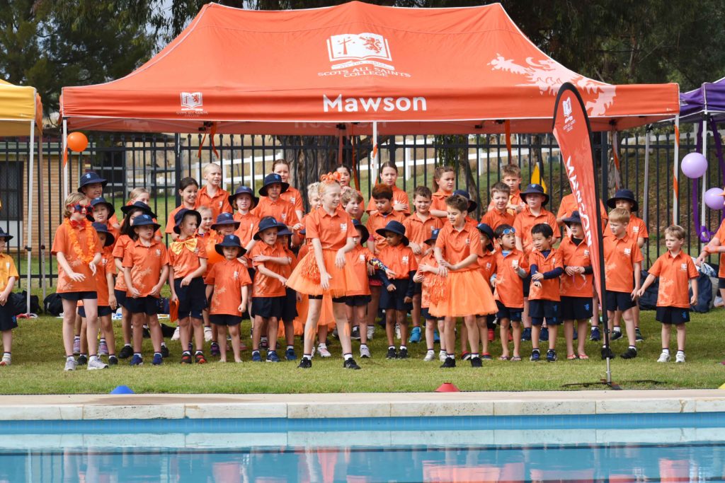 Primary School Students swimming in the Junior School Swimming Carnival at Scots All Saints College.
